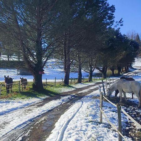 Domaine Le Lanis "Cabane De Pauline" Saint-Girons  Exteriör bild