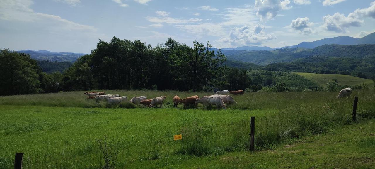 Domaine Le Lanis "Cabane De Pauline" Saint-Girons  Exteriör bild
