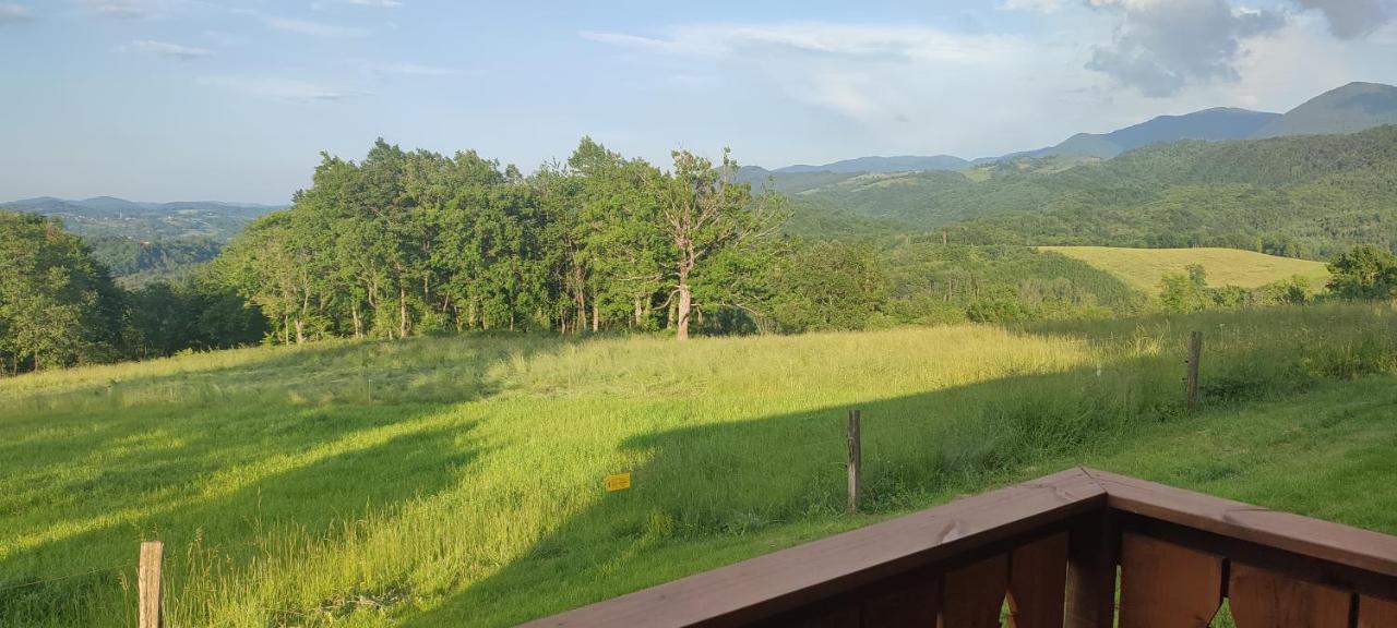 Domaine Le Lanis "Cabane De Pauline" Saint-Girons  Exteriör bild