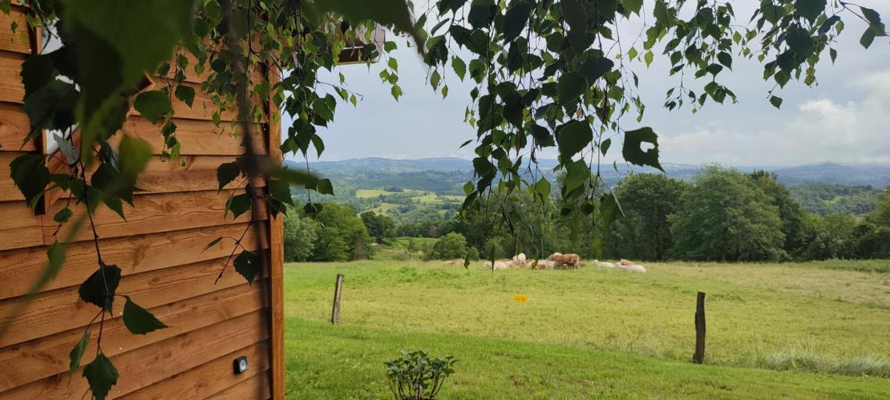 Domaine Le Lanis "Cabane De Pauline" Saint-Girons  Exteriör bild