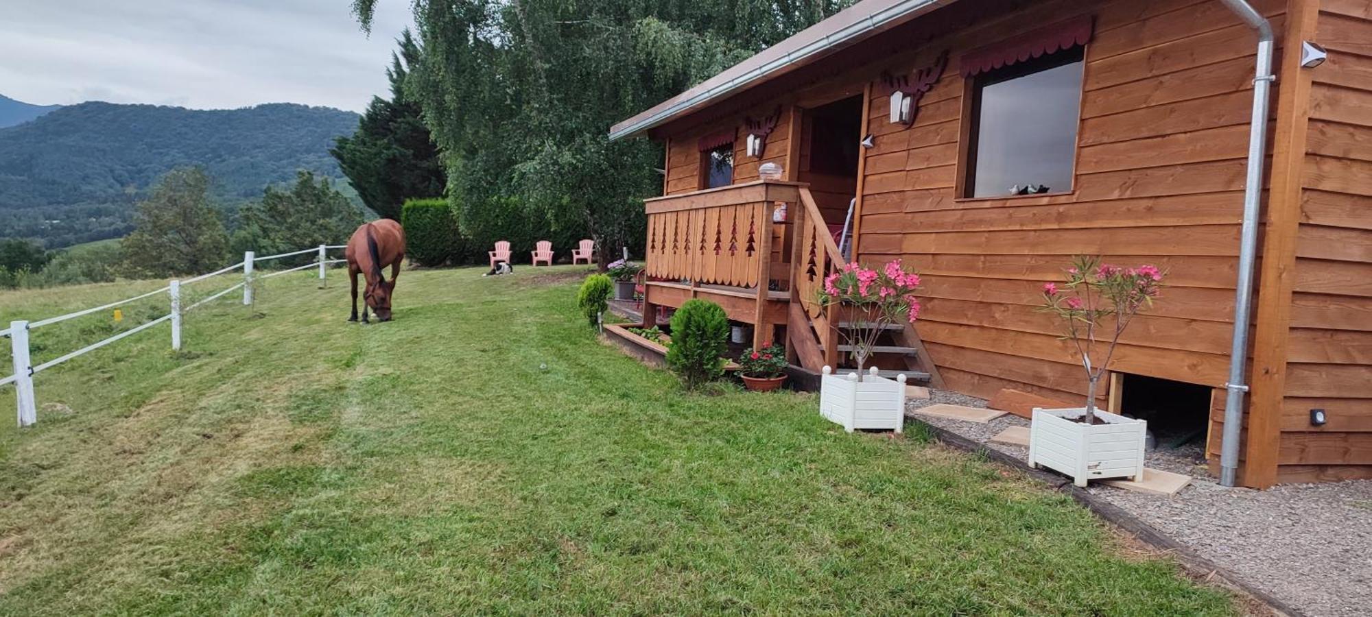 Domaine Le Lanis "Cabane De Pauline" Saint-Girons  Exteriör bild