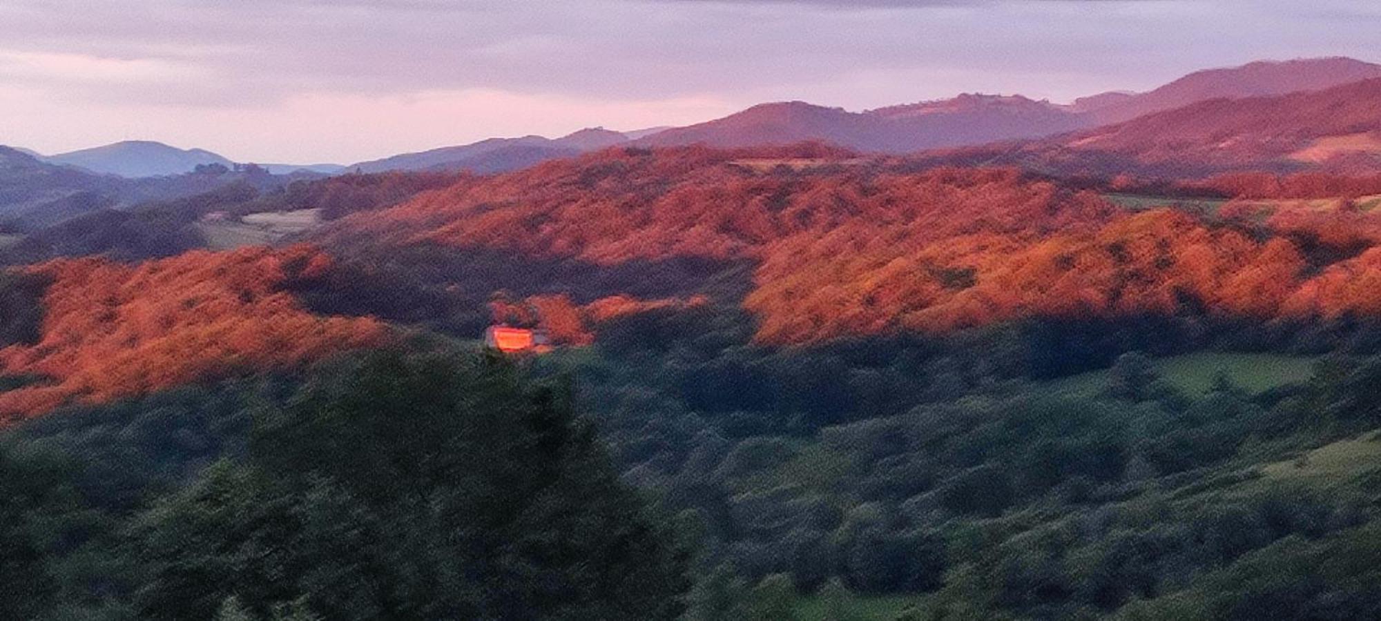 Domaine Le Lanis "Cabane De Pauline" Saint-Girons  Exteriör bild