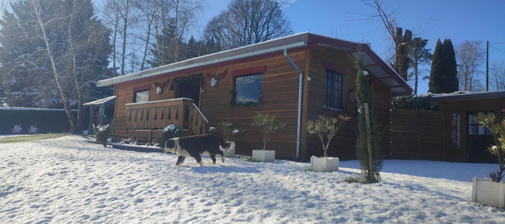 Domaine Le Lanis "Cabane De Pauline" Saint-Girons  Exteriör bild