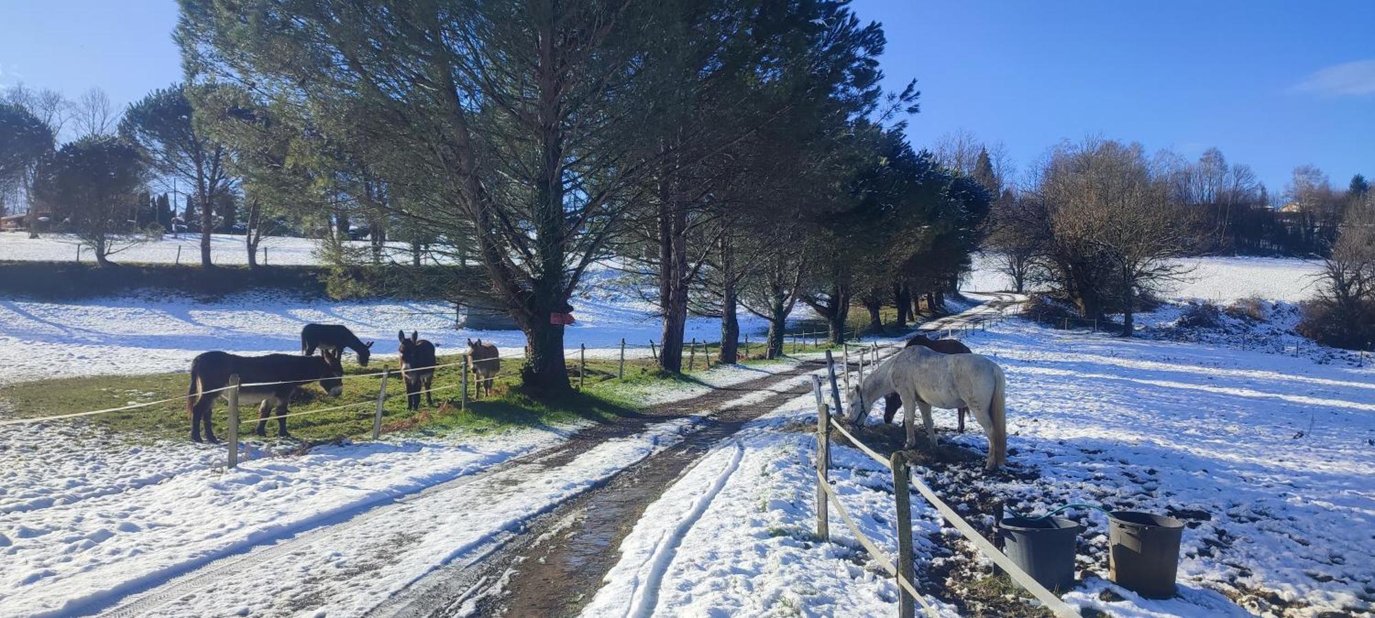 Domaine Le Lanis "Cabane De Pauline" Saint-Girons  Exteriör bild
